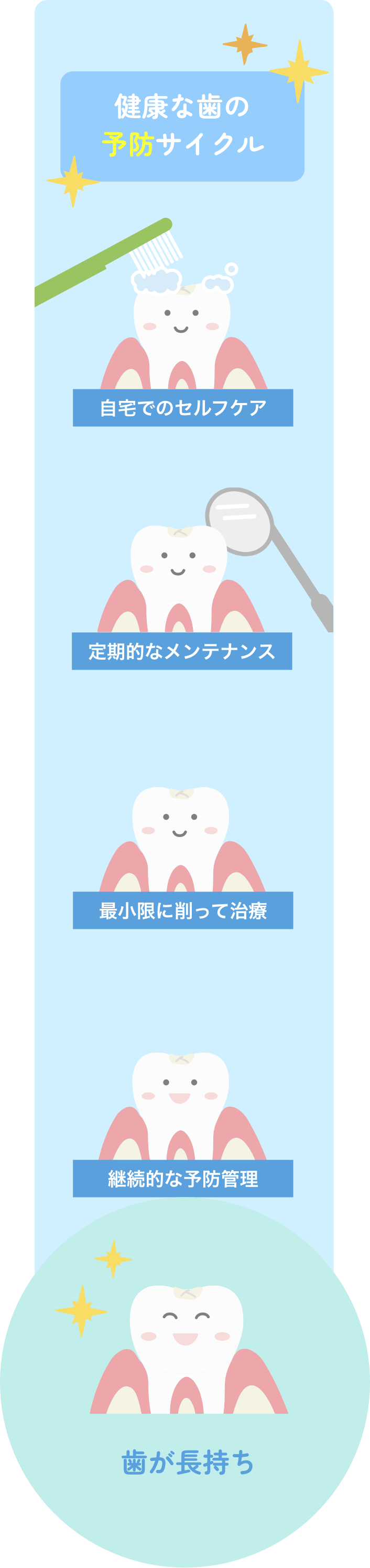 健康な歯の予防サイクル